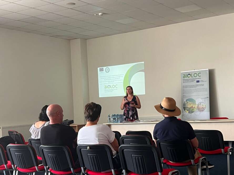 cfa95152-3c81-477d-a687-988f73a579a2